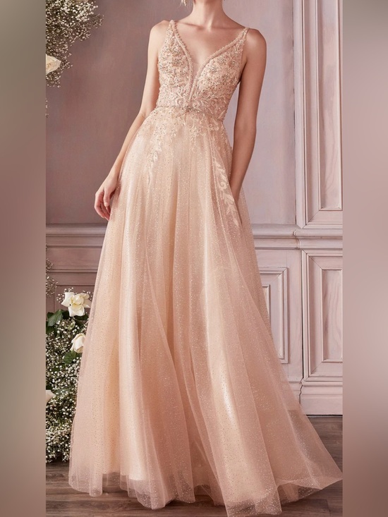 cinderella divine Dresses & Skirts - Embellished Blush/Champagne V-Neck Tulle Dress